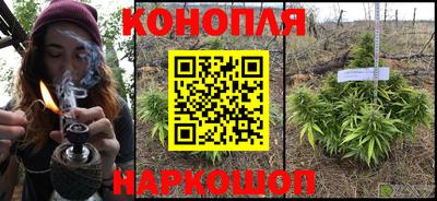 индика Краснознаменск