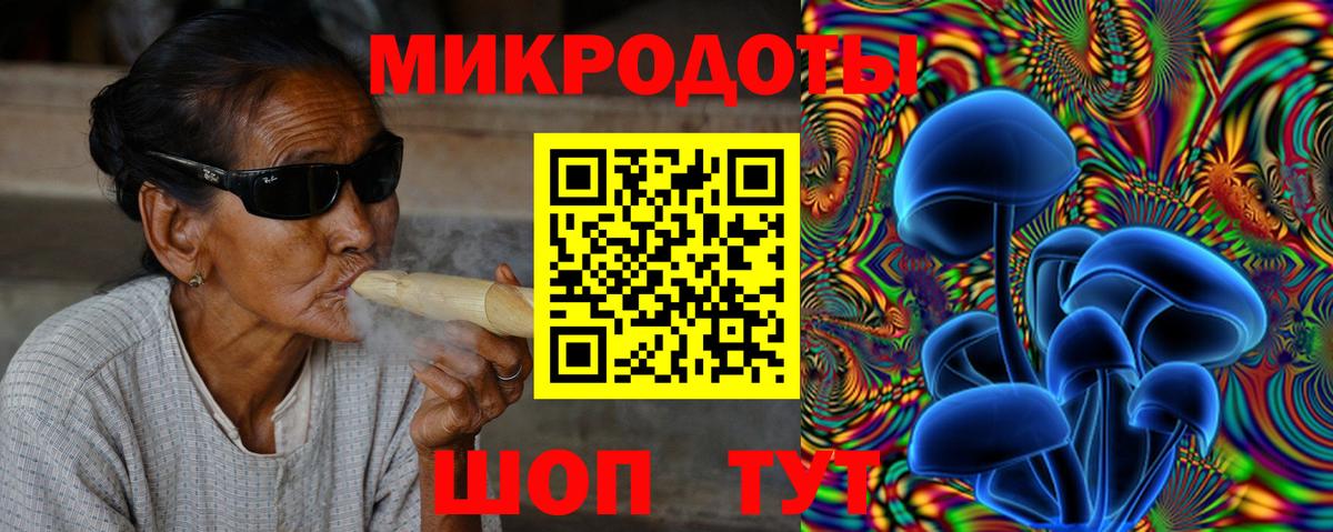 Галлюциногенные грибы Psilocybine cubensis Губкинский