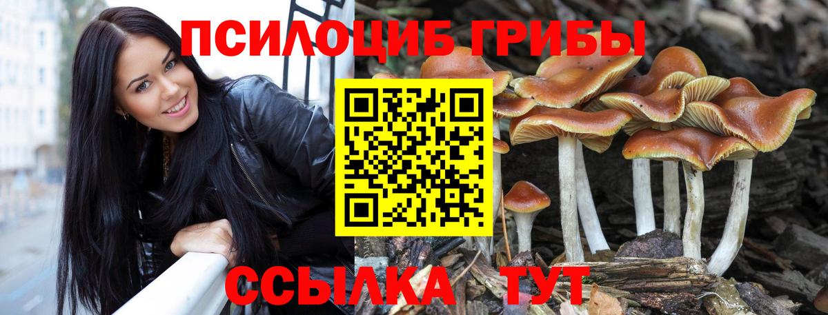 Галлюциногенные грибы Psilocybine cubensis  Вход с VPN  Губкинский 